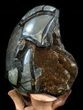 Septarian Dragon Egg Geode - Crystal Filled #40940-1